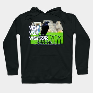 Veni Vidi Visitor - I came, I saw, I perched and sat and nothing more Hoodie